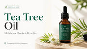 🌿 Tea Tree Oil — ত্বক, চুল আর ঘরের এক প্রাকৃতিক সমাধান - Shudhik