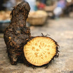 Chui Jhal | গাছ চুইঝাল - Shudhik
