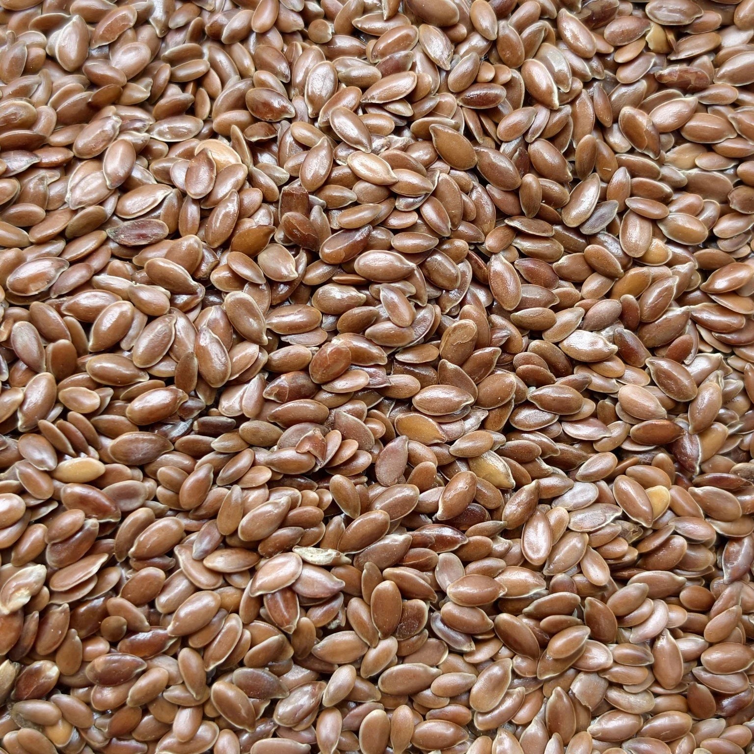 Shudhik flax seeds in Bangladesh, showing fresh, whole flax seeds commonly used as nuts and seeds for healthy diets.