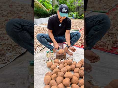 শুদ্ধিকের কোল্ড প্রেস নারিকেল তেল তৈরির একমাত্র উপাদান ক্যামিকেল মুক্ত নারিকেল